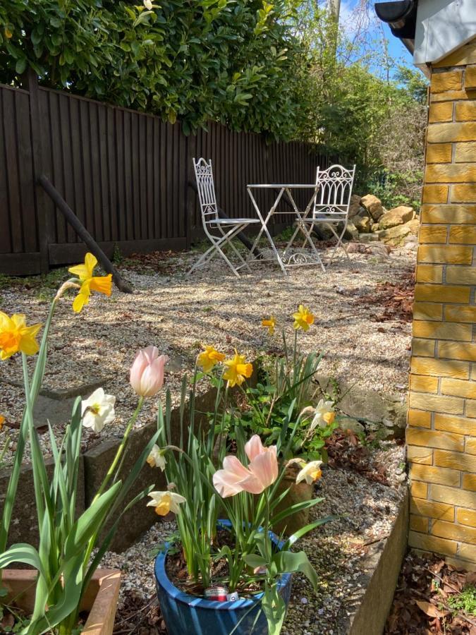 Swallow Cottage Castle Cary Luaran gambar